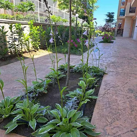 Apartman Sunny Holidays